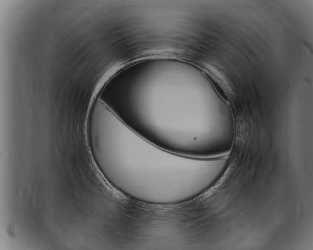 X0000098021196200803280746