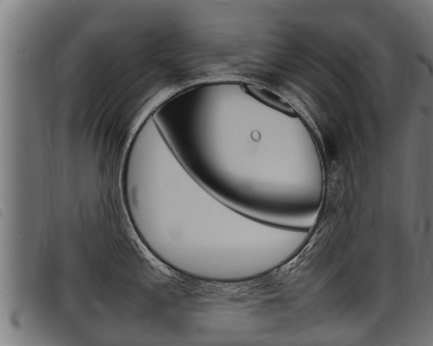 X0000098021197200803280746