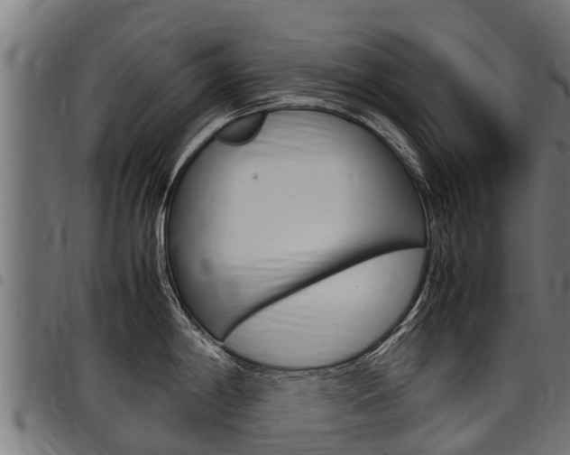 X0000098021198200803280746