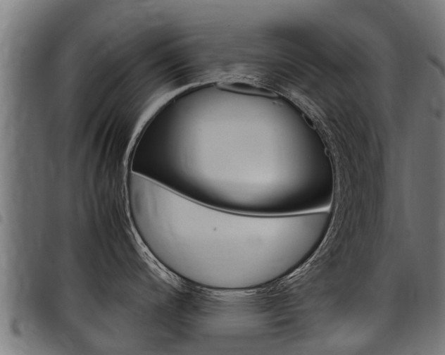 X0000098021200200803280746
