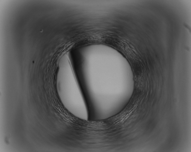X0000098021201200803280746