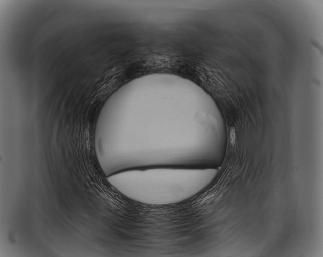 X0000098021203200803280746