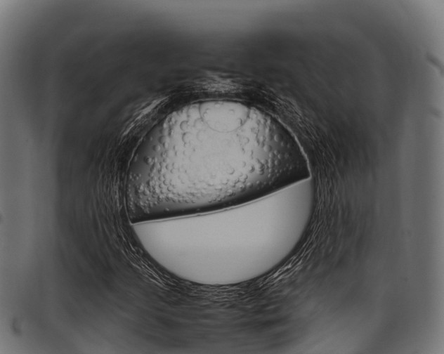 X0000098021205200803280746