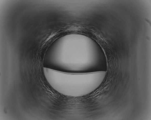 X0000098021206200803280746