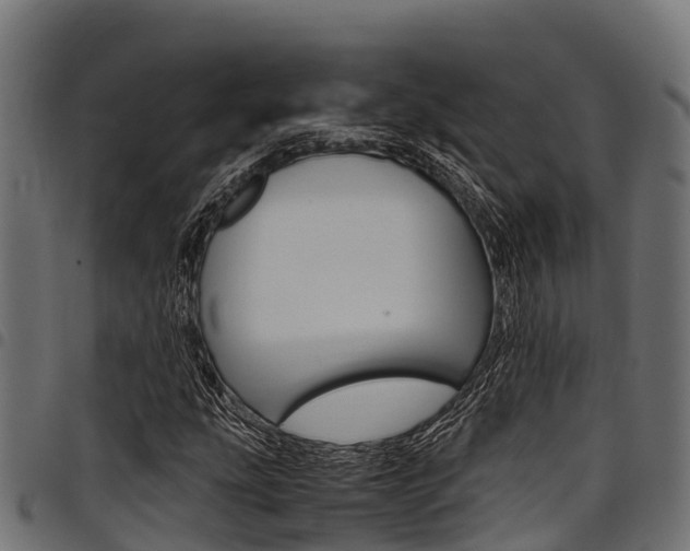 X0000098021207200803280746