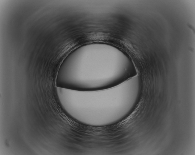 X0000098021209200803280746