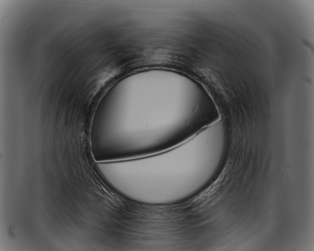 X0000098021210200803280746