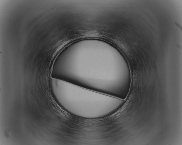 X0000098021212200803280746