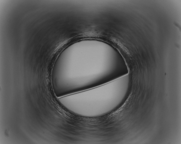 X0000098021213200803280746