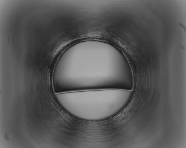 X0000098021214200803280746