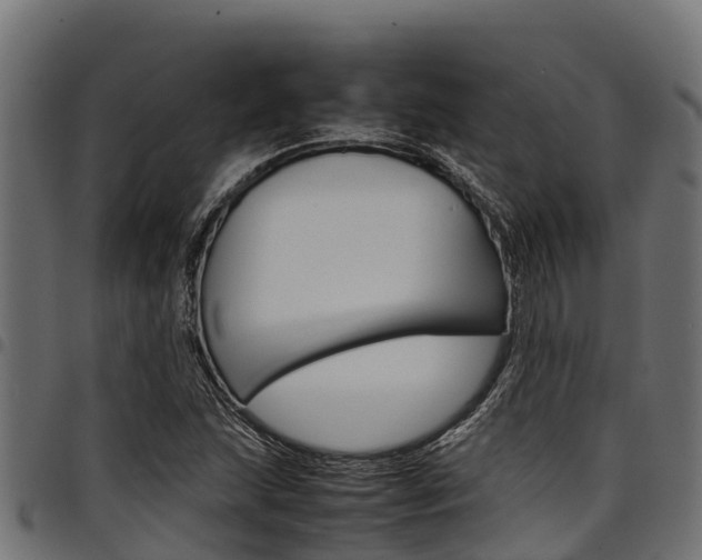 X0000098021215200803280746