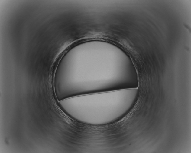 X0000098021216200803280746