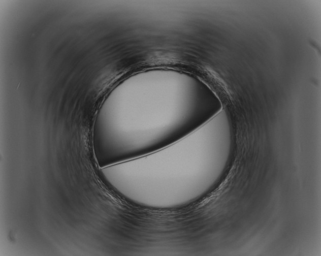 X0000098021217200803280746