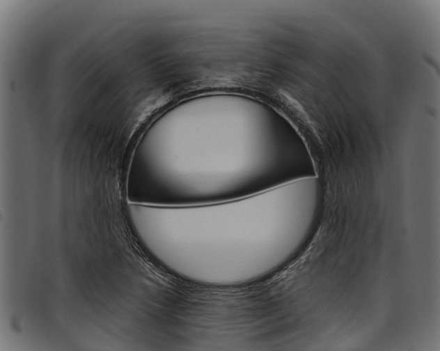 X0000098021218200803280746