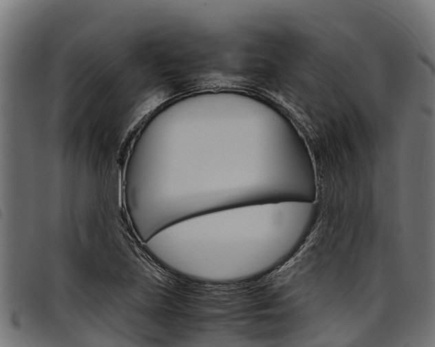 X0000098021219200803280746