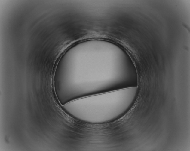 X0000098021220200803280746