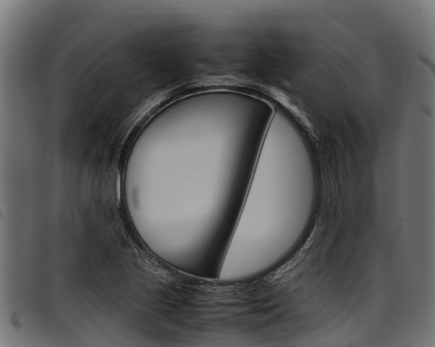 X0000098021221200803280746
