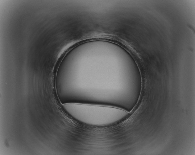 X0000098021222200803280746