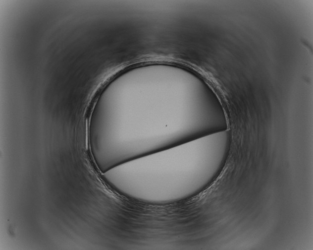 X0000098021223200803280746