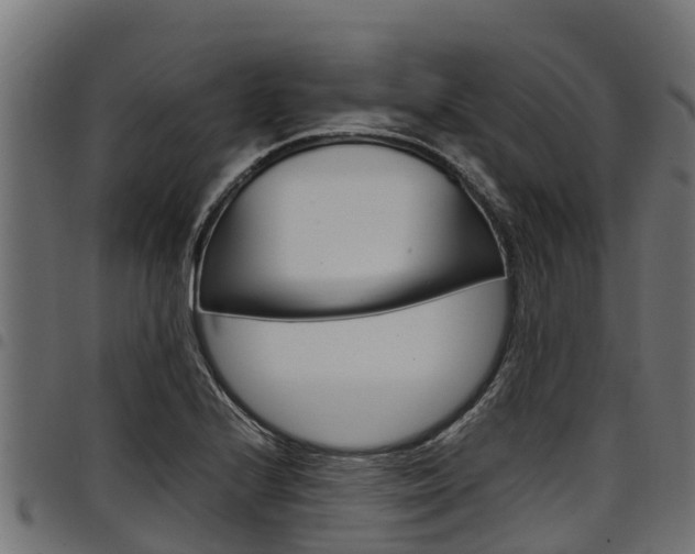 X0000098021224200803280746