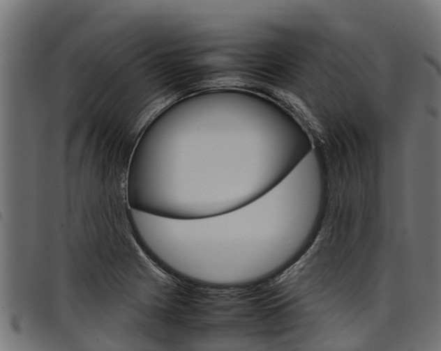 X0000098021225200803280746