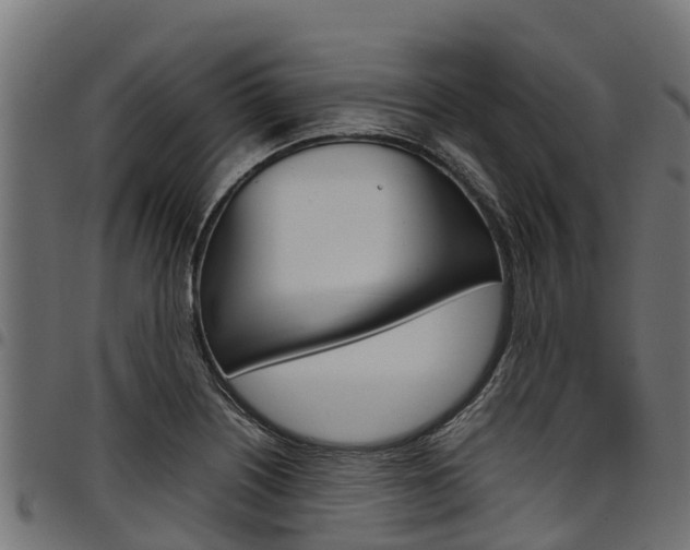 X0000098021226200803280746
