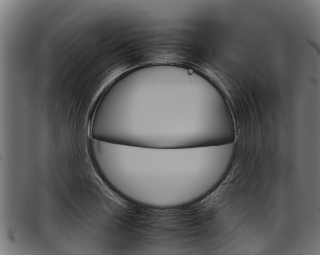 X0000098021227200803280746