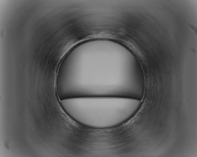 X0000098021228200803280746