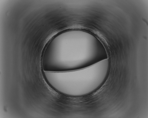 X0000098021229200803280746