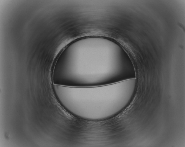 X0000098021230200803280746