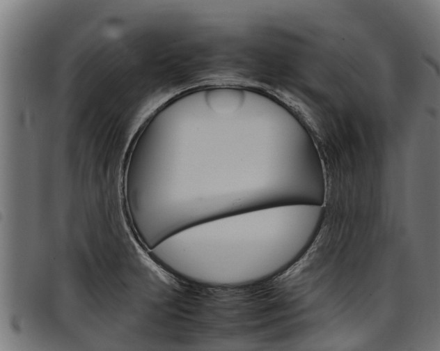 X0000098021231200803280746