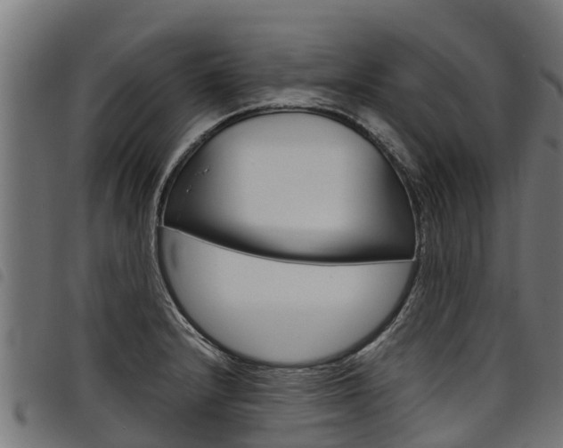 X0000098021232200803280746