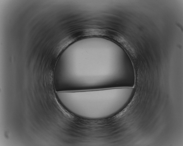 X0000098021233200803280746