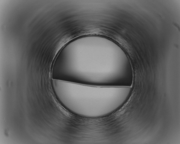 X0000098021234200803280746