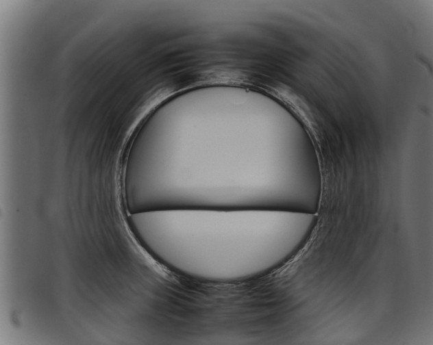 X0000098021235200803280746