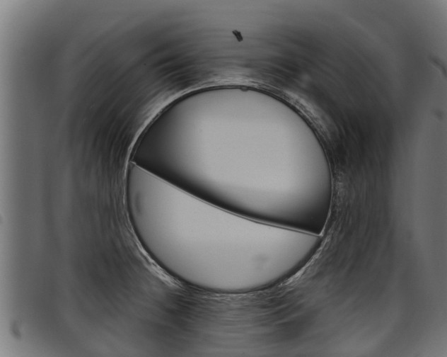 X0000098021236200803280746