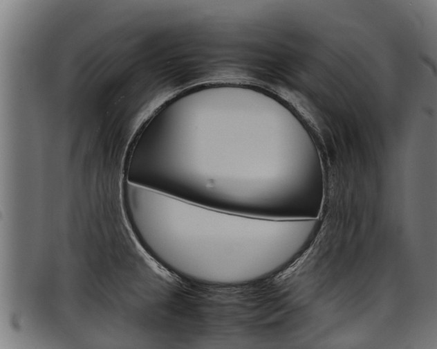 X0000098021237200803280746