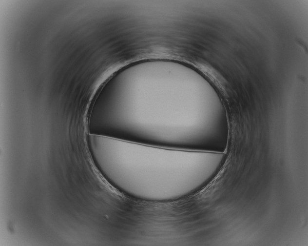 X0000098021238200803280746