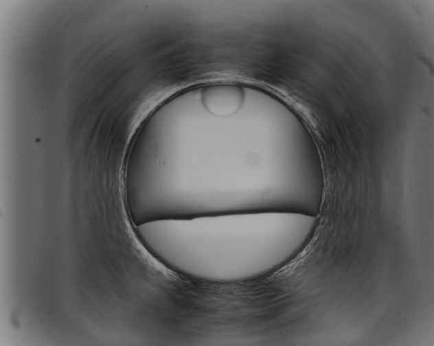X0000098021239200803280746