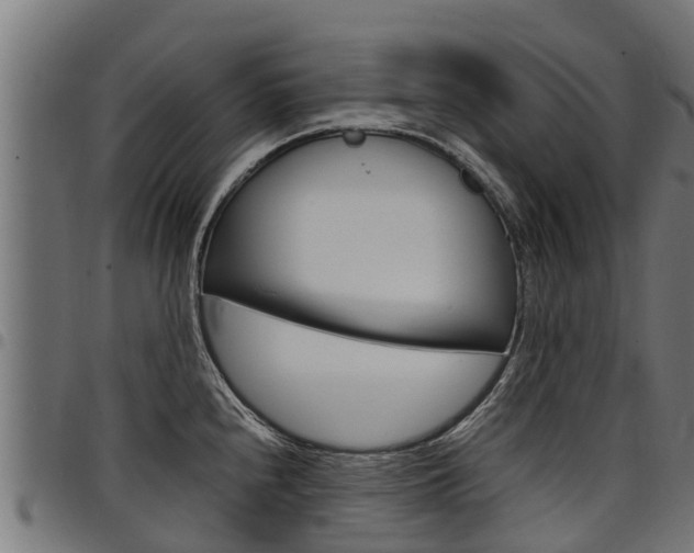 X0000098021240200803280746