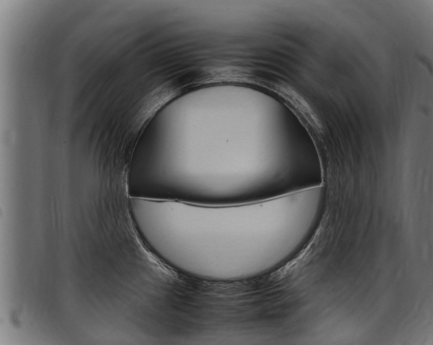 X0000098021241200803280746