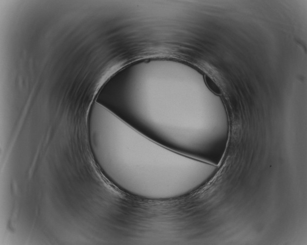 X0000098021242200803280746