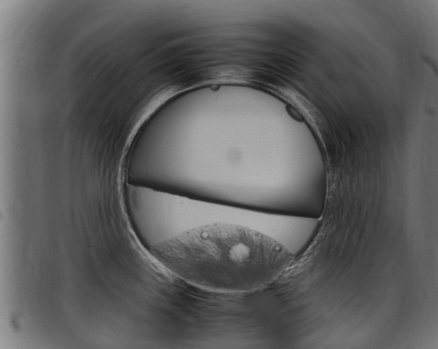 X0000098021243200803280746