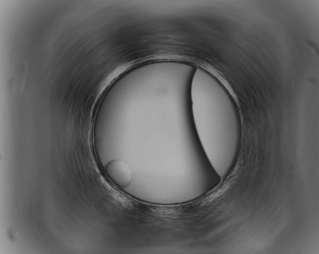 X0000098021245200803280746