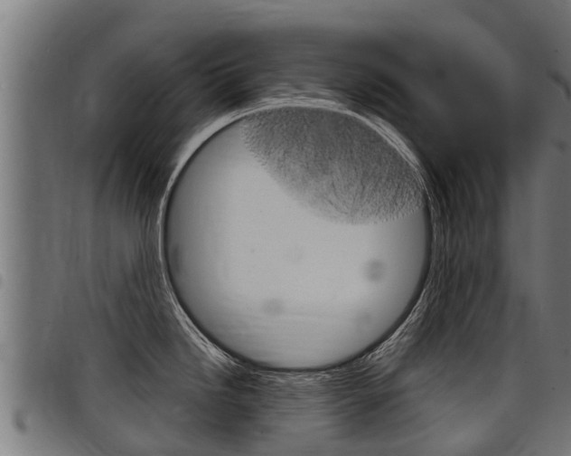 X0000098021246200803280746