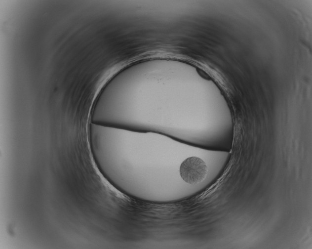 X0000098021247200803280746