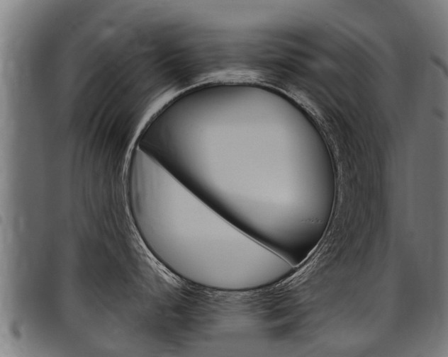 X0000098021248200803280746