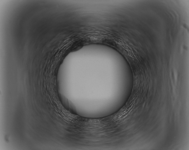 X0000098021249200803280746