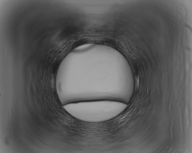 X0000098021251200803280746