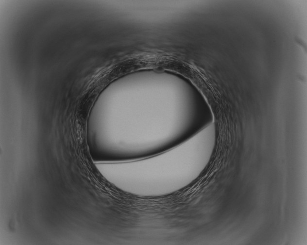 X0000098021253200803280746